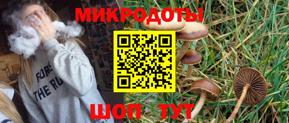 Галлюциногенные грибы Psilocybine cubensis Гусев